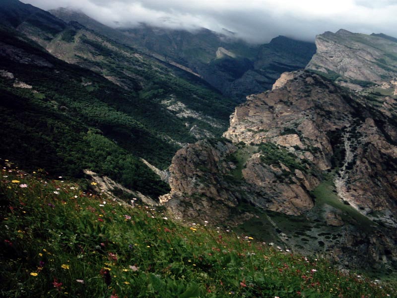 Альпийские луга
Чегемское ущелье
20-21 июля 2003 года