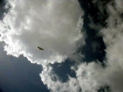Орел парит с парапланами
Чегемское ущелье
20-21 июля 2003 года